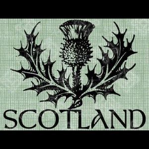 Meet your Posher, Thomas